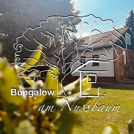 Bungalow Am Nussbaum Olbersdorf Exterior foto