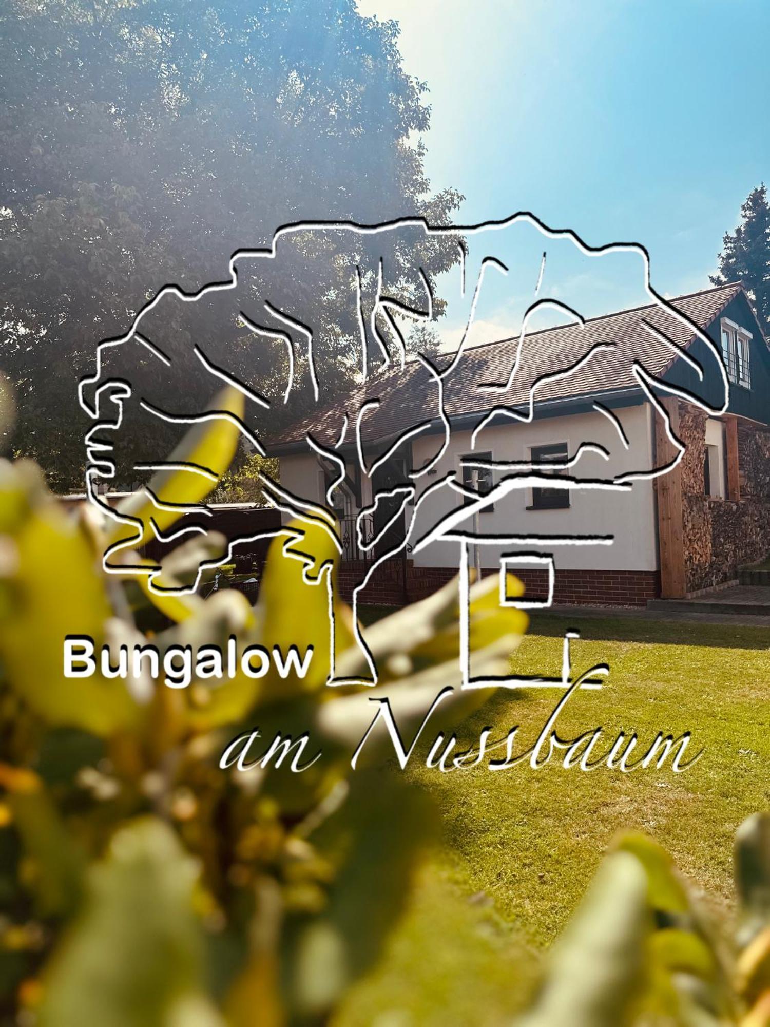 Bungalow Am Nussbaum Olbersdorf Exterior foto